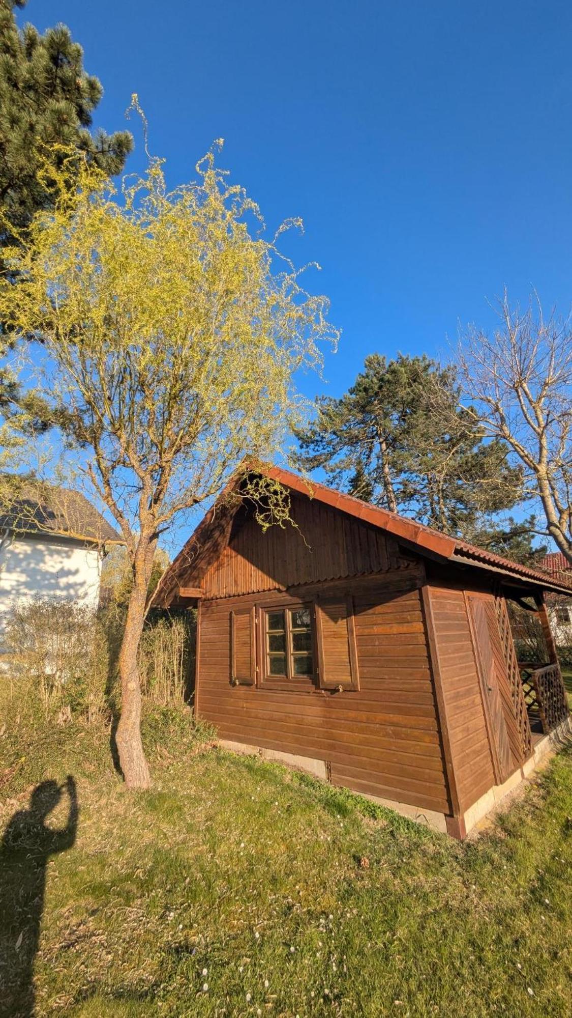 Landhotel Sonneneck - Breuna Im Naturpark מראה חיצוני תמונה
